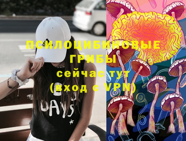 прущая мука Алексин