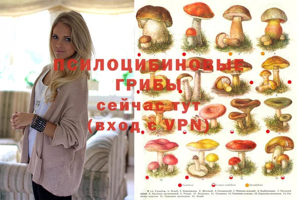 марки nbome Алзамай