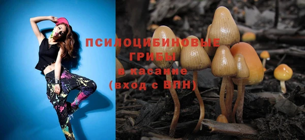 прущая мука Алексин